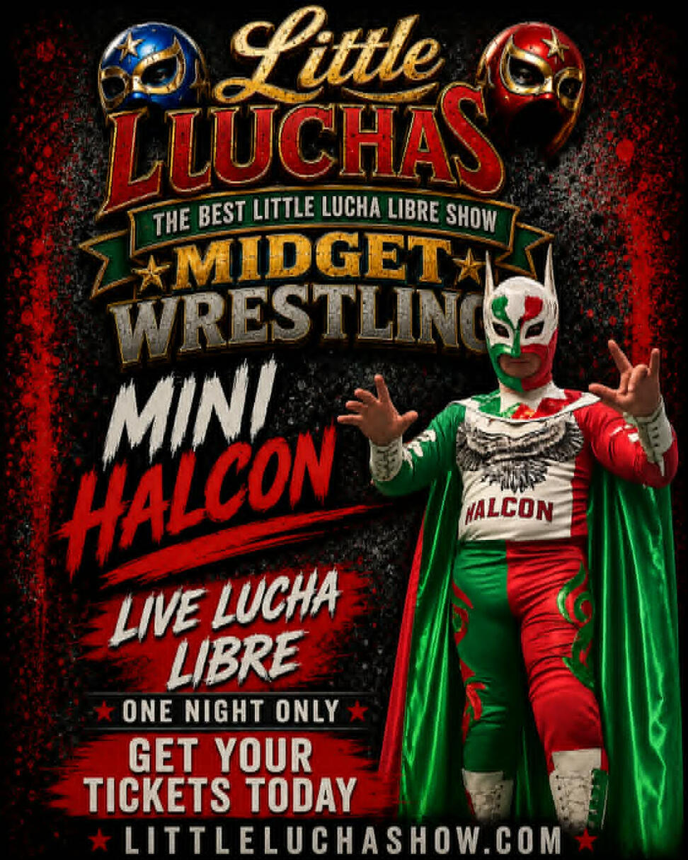 Mini Halcon